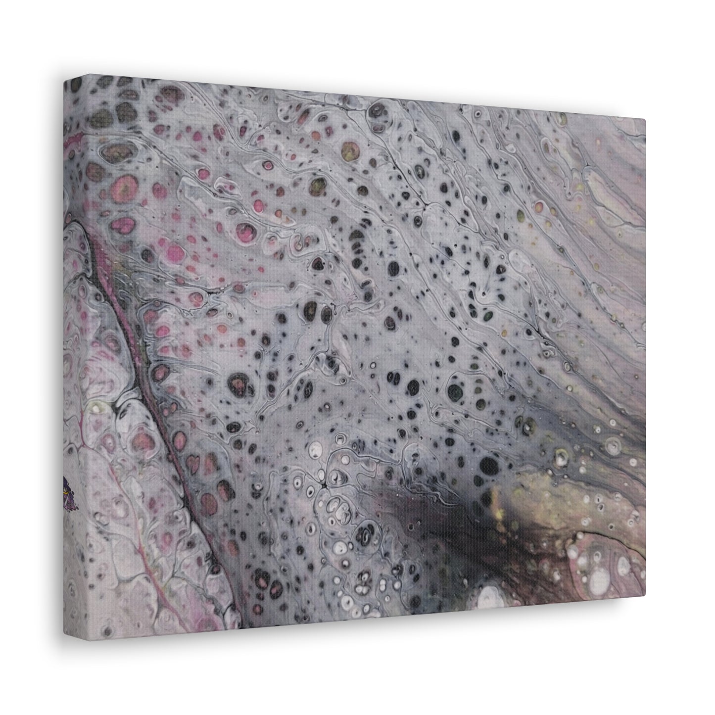 Ophidian Lid Canvas Gallery Wrap